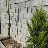 باغ و باغچه در بزرگ / علمک گاز داخل / درخت تزئینی