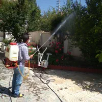 باغبانی سمپاشی هرسکاری تعویض خاک گلدون سراسر تهران|خدمات باغبانی و درختکاری|تهران, قیطریه|دیوار
