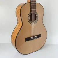 گیتار هوهنر تازه