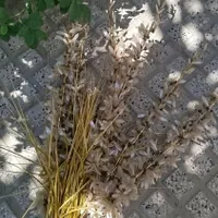 تعدادی لوازم خانگی|گل مصنوعی|بجنورد, |دیوار