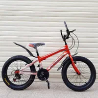 دوچرخه 20 دنده ای المپیا لاستیک پهن