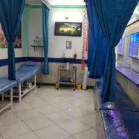 حجامت زالو درمانی ختنه جراحی فصد