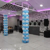 باغ دیجی اورکست بادکنک dj|خدمات پذیرایی، مراسم|کرمان, |دیوار