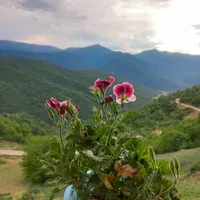 ویلایی با تراس بزرگ وچشم اندازی|اجارهٔ کوتاه‌مدت ویلا و باغ|علی‌آباد کتول, |دیوار