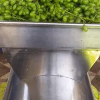آبغوره آبلیمو آبنارنج سرکه سیب و انگور کاملا طبیعی|خوردنی و آشامیدنی|شیراز, شهرک پرواز|دیوار
