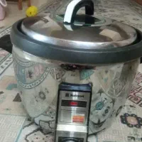 پلوپزبرقی