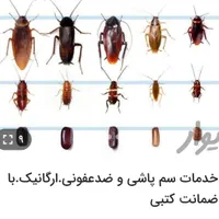 سم پاشی ارگانیک سمپاشی منازل تضمینی سوسک، ساس و..