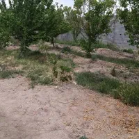 ابشار بعد از زردنجان  جوزدان خ بهاران|فروش زمین و ملک کلنگی|اصفهان, براآن شمالی|دیوار