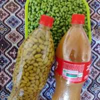 تار   آ ب|سازهای سنتی|سرپل ذهاب, |دیوار