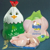 استخدام نیروی ساده