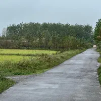 زمین ۸۰۰ متری در پستک المان .بر اصلی|فروش زمین و ملک کلنگی|رشت, پستک|دیوار