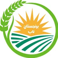 فروش طارم هاشمی ناب|خوردنی و آشامیدنی|مشهد, انقلاب|دیوار
