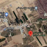 ۲۷۰۰ متر زمین داربستی شده انگور چسب روستا|فروش دفتر صنعتی، کشاورزی، تجاری|کرج, شعبان‌آباد|دیوار