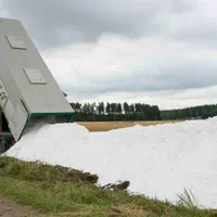 کود گچ کشاورزی سولفات کلسیم ژیپس هیومیک دار