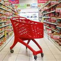 ترولی فروشگاهی /سبد خرید/چرخ پلی کربنات