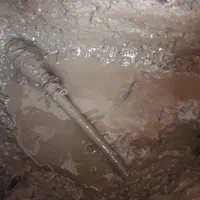 نشت یابی با دستگاه نقطه‌زن‌وصددرصدتضمینی|خدمات پیشه و مهارت|مشهد, آزادشهر|دیوار