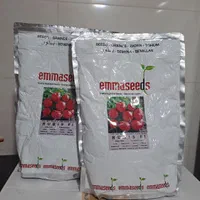 فروش بذر تربچه emmaseed F1|خدمات باغبانی و درختکاری|اصفهان, باغ فردوس|دیوار