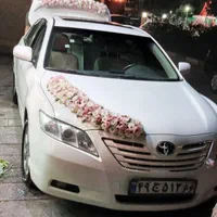 گل ماشین عروس ودسته گل دوتاش باهم شروع قیمت از2500|خدمات پذیرایی، مراسم|تهران, جنت‌آباد مرکزی|دیوار