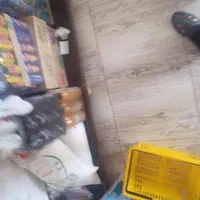 گمشده کارت ملی