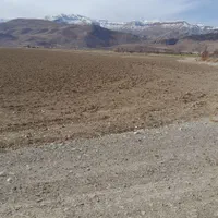 فروش زمین ۸ هکتار|فروش زمین و ملک کلنگی|گندمان, |دیوار