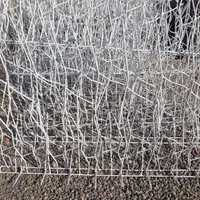 شاخ گوزنی سر دیواری|مصالح و تجهیزات ساختمان|قم, بلوار امین و ساحلی|دیوار