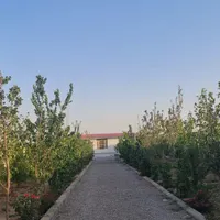 زمین باغی دارم برای فروش معاوضه با ماشین هم داریم|فروش زمین و ملک کلنگی|مشهد, توس|دیوار