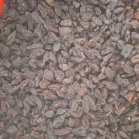 خانهکشمش وعسل شهرکرد|عمدهفروشی|شهرکرد, |دیوار