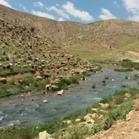 زمین ویلا باغی لوکس وتوپ برای شیرازیاوجنوبیای عزیز|فروش دفتر صنعتی، کشاورزی، تجاری|شیراز, ابیوردی|دیوار