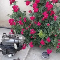لوله بازکنی ونشت یابی بازکن چاه کن۲۴ساعته کل البرز|خدمات پیشه و مهارت|کرج, شهرک وحدت|دیوار