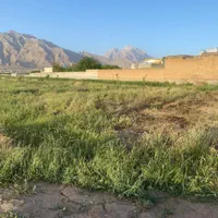 زمین باغ ویلا گلخانه و طرح هادی کهریز الهیه|فروش زمین و ملک کلنگی|کرمانشاه, |دیوار