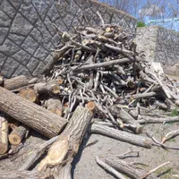 انواع و اقسام مختلف چوب|خدمات باغبانی و درختکاری|اراک, |دیوار