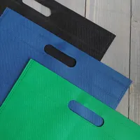 تولید اختصاصی انواع ساک دستی های پارچه ای و کاغذی|کیف، کفش، کمربند|مشهد, وحدت|دیوار