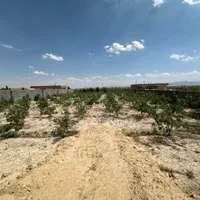 زمین باغی با همه امکانات بعد از زردنجان|فروش خانه و ویلا|اصفهان, آبشار|دیوار