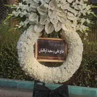 تاج گل باشکوه و نمادار ۲م|گل و گیاه طبیعی|اصفهان, دشتستان|دیوار