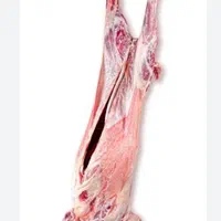 قصاب|خدمات پذیرایی، مراسم|کرمان, |دیوار