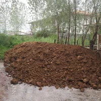 خاک باغچه. خاک باغی. خاک|خدمات باغبانی و درختکاری|رشت, گلسار|دیوار