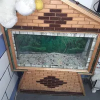 اکواریوم