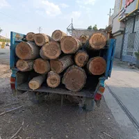 خرید وفروش انواع چوب وقطع وهرس درختان|خدمات باغبانی و درختکاری|مشهد, خواجه ربیع|دیوار