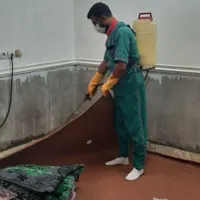 سمپاشی موریانه ،سم پاشی سوسک و ... اصفهان و حومه|خدمات نظافت|اصفهان, اشکاوند|دیوار