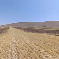 شریک برای معدن