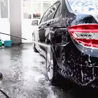 استخدام نیرو کارواش