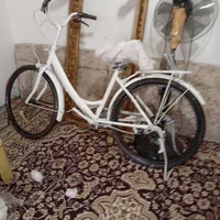 دو عدد دوچرخه