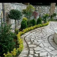 خدمات باغبانی هرسکاری گل کاری درتمام نقاط تهران و.|خدمات باغبانی و درختکاری|تهران, تهرانپارس شرقی|دیوار