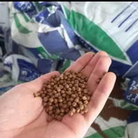 بچه ماهی کپور آمور فیتوفاگ بیگهد کوی خاویار اسپلش|ماهی|رشت, بلوار گیلان|دیوار