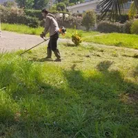 پوست کندن درخت نخل یا خرما و باغبانی حرص چمن زنی|خدمات باغبانی و درختکاری|سلمان‌شهر, |دیوار
