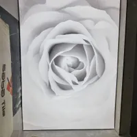 نیروبرای کارسقف کشسان|استخدام صنعتی، فنی، مهندسی|قم, پردیسان|دیوار