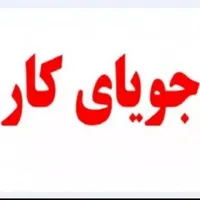 جویای کار