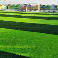 چمن مدرسه و مهد کودک مدارس