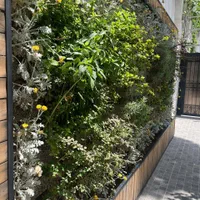 گرین وال طبیعی روف گاردن محوطه سازی گرینوال طبیعی|گل و گیاه طبیعی|تهران, شهرک چیتگر|دیوار