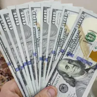 معامله گر فارکس.سود مستمر.مدیر حساب پراپی|خدمات مالی، حسابداری، بیمه|تهران, زعفرانیه|دیوار